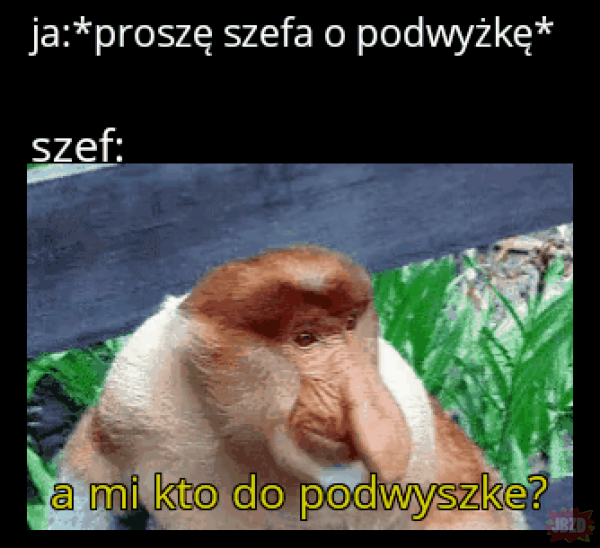 c1fc43c4-dcce-49fa-9ce6-d8ce1cb32a76