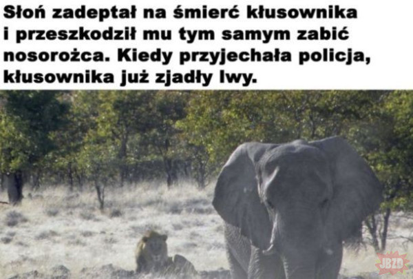 ee4ba7b4-acdf-4327-a823-8794b536260c