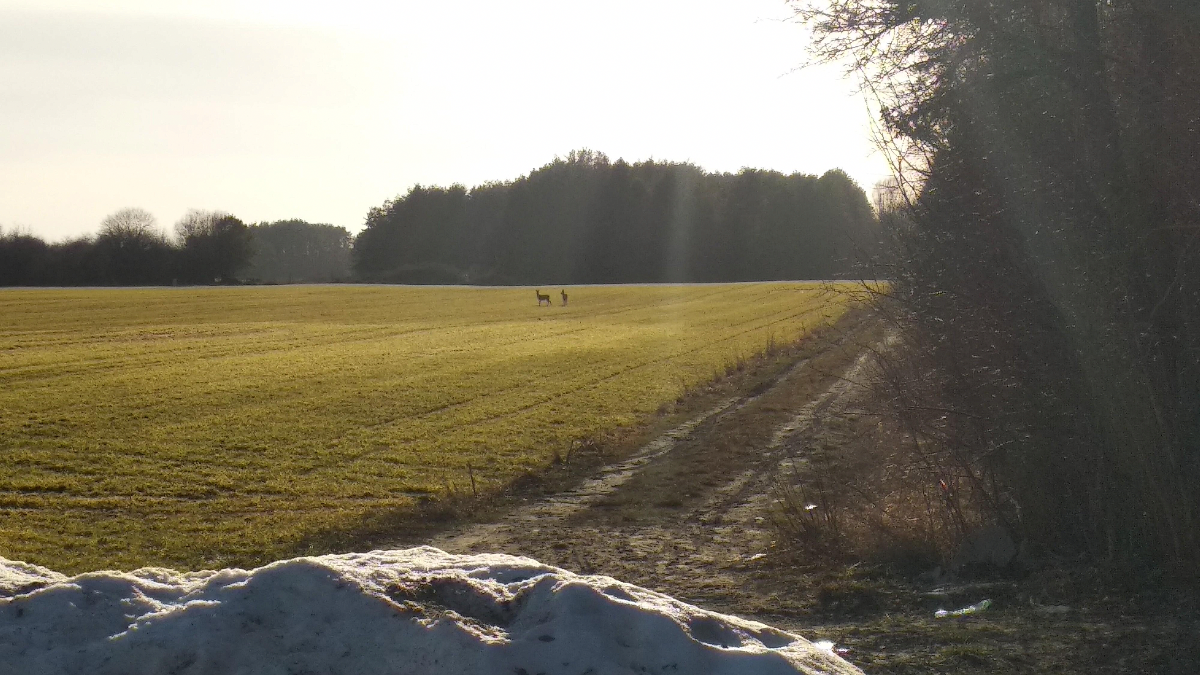 cac6684c-7ff3-4f00-bed7-17fe33f36acc