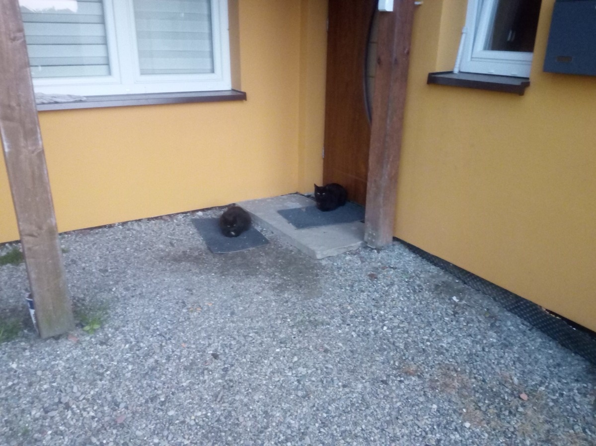 082278e6-fb7f-4d7a-bbe8-891c83278638