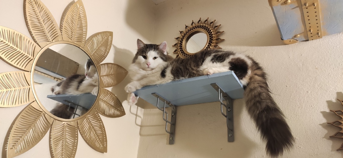 0f59d726-ec10-49cd-9e8f-33d3816b1646