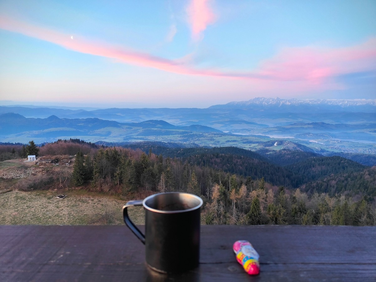 4493a730-65da-40f5-b0d8-e5218d67c78d