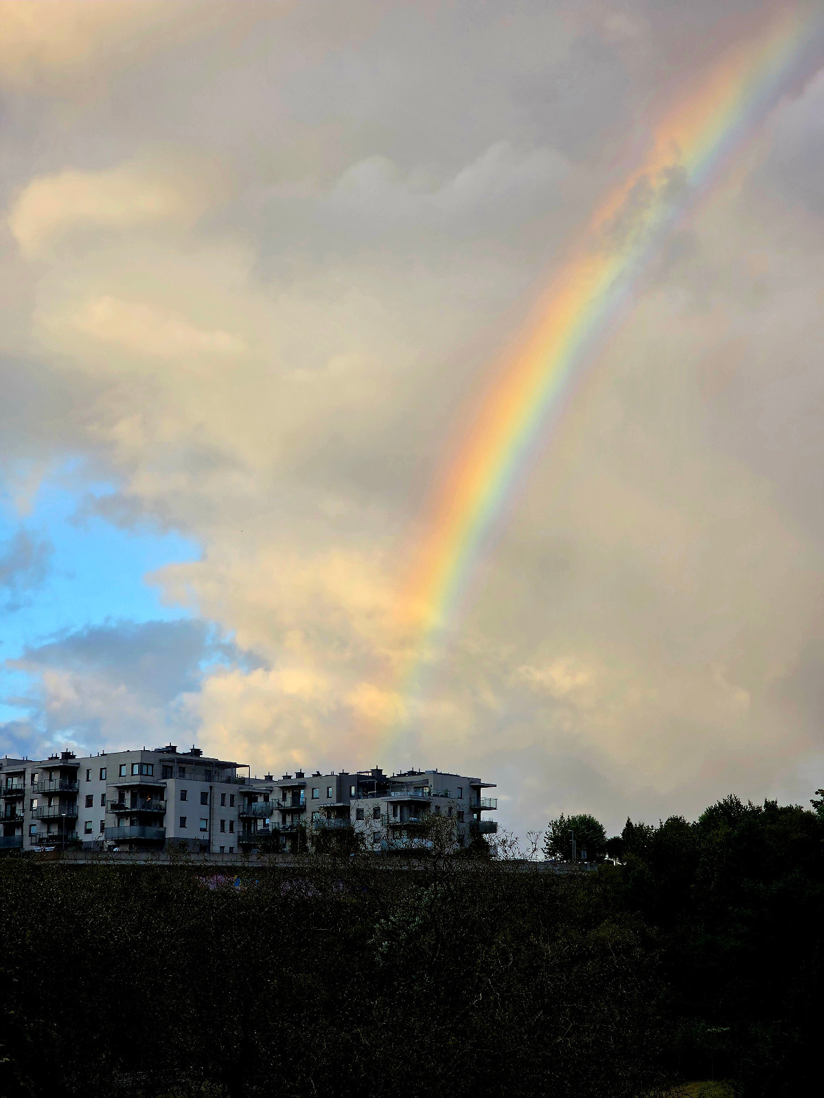 20bad37c-f345-4a84-b6e4-bb742b8d87be