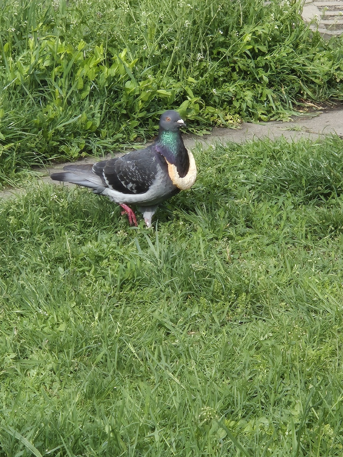 1764b7e5-c22f-4ee3-adf9-7e6fee771f2e