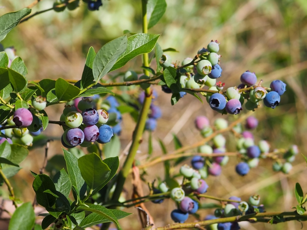 fd1a9eb1-1b0e-423d-bd85-350e560626e0