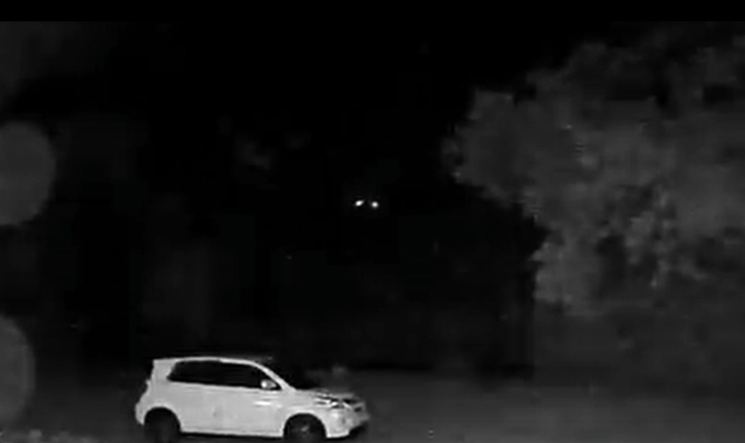 4e478506-4a07-45ed-bf84-f92c97566588