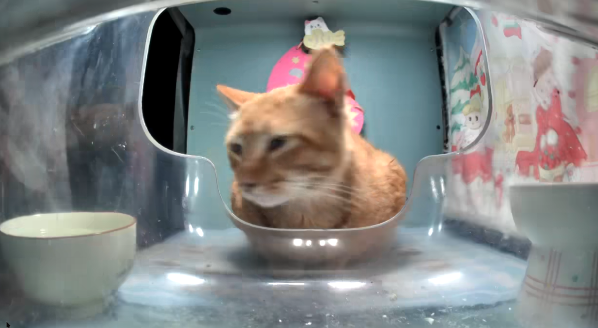 b5268763-8d28-4a83-b068-c901ecad77fd