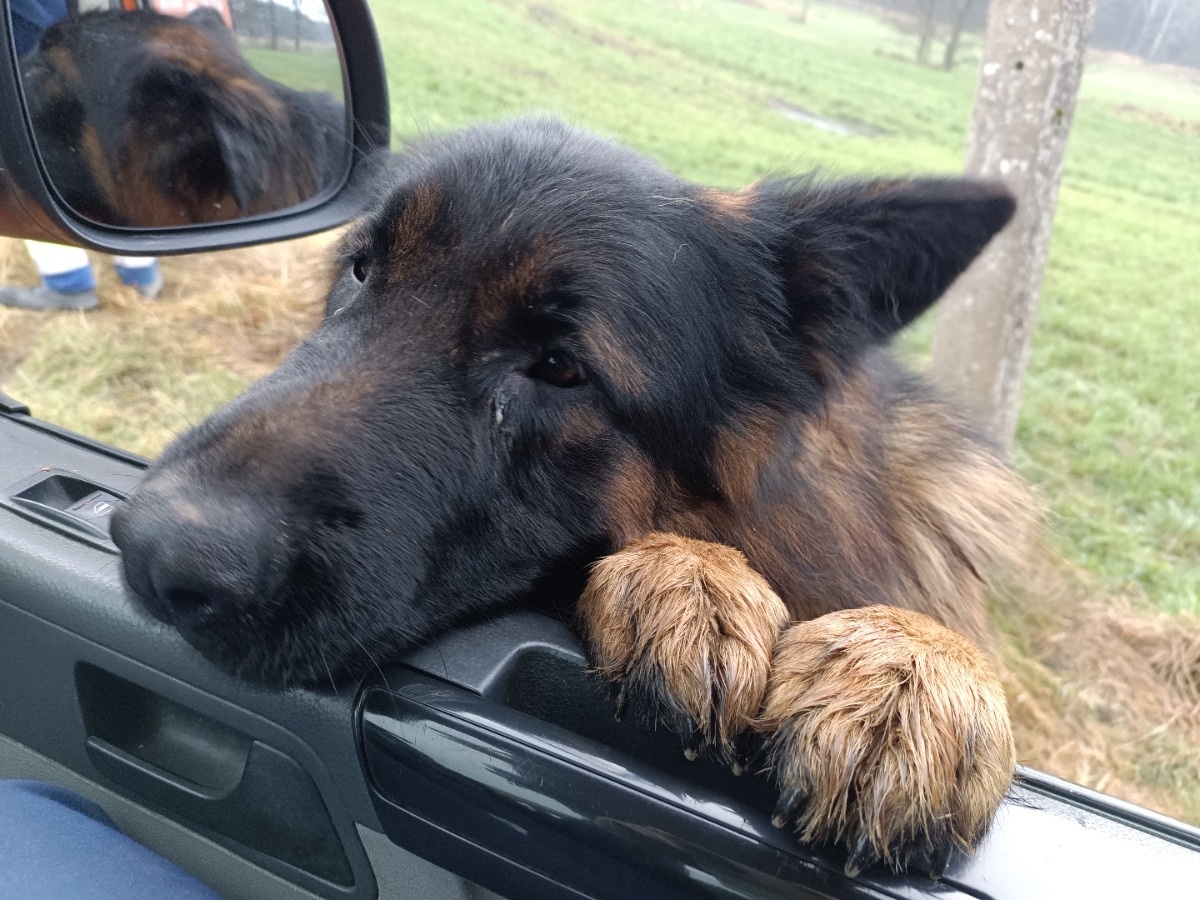 debbee15-24f9-4c78-aafb-17427412c554