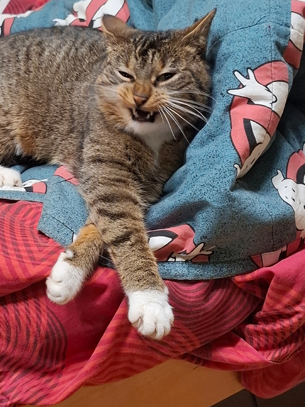 6f99dbbd-00a1-4c12-a589-147401b27ef5