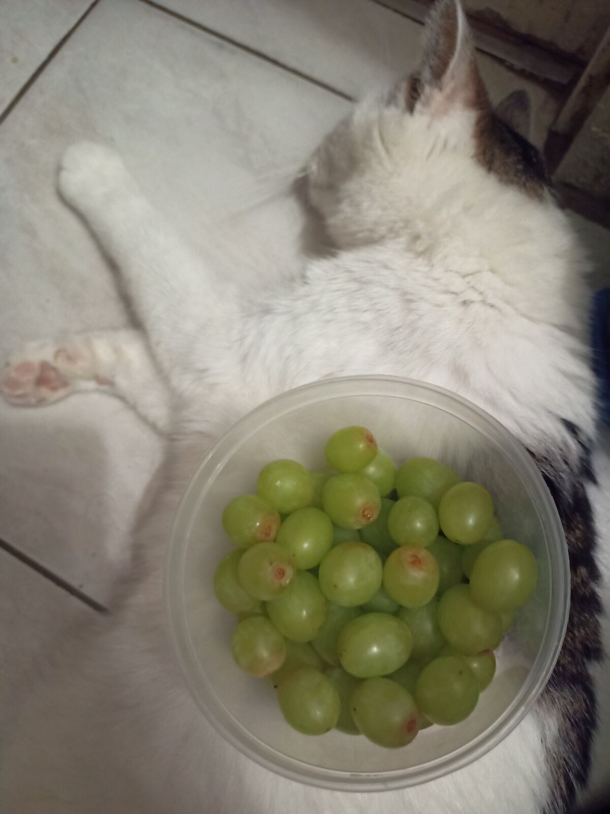 74f19f67-1c69-4bc0-9770-31feeb5ef6ce