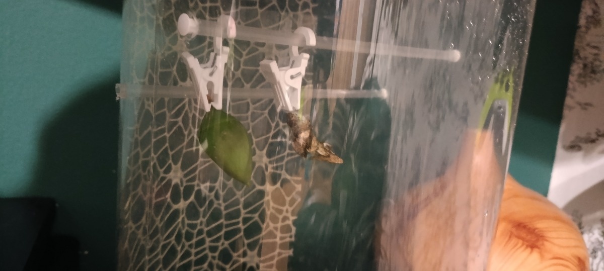 1cf0427e-9172-437e-a57b-9d5b3140665d