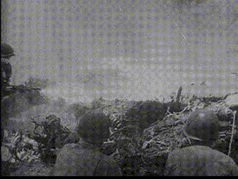 787135f7-0bd9-47c6-b5be-1e05ceb9b0ea