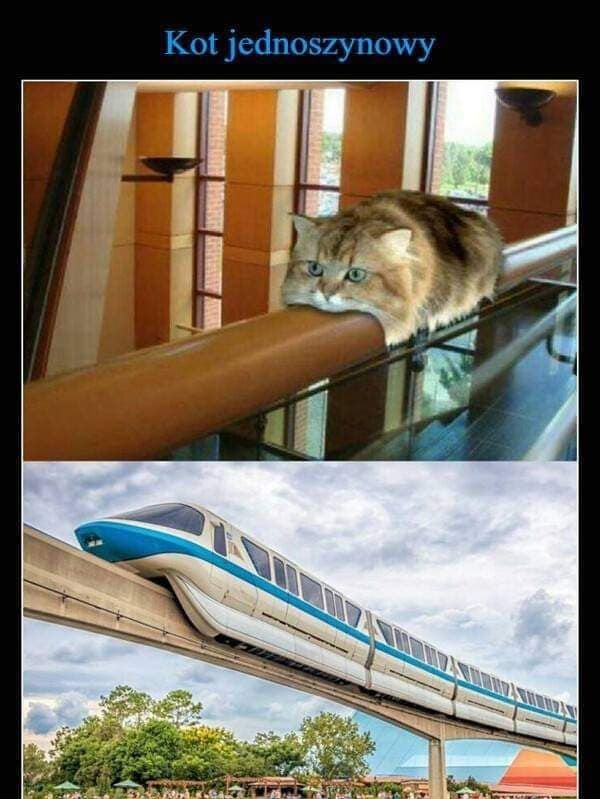 767126df-51f9-4d07-a9d7-aa43a5006e8f