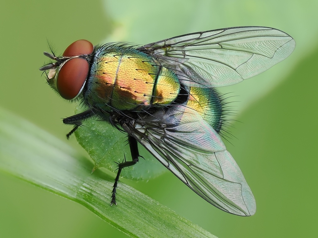 e3768924-187b-40a4-9aa1-2d3fac777f68