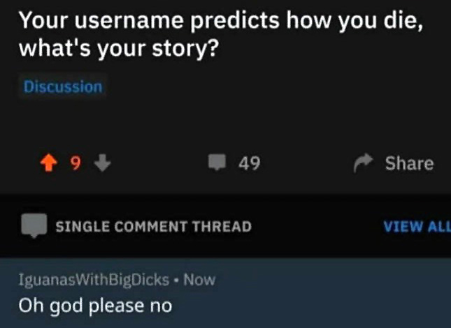 509572d3-6ec0-45b5-85d0-24a80faafc2a