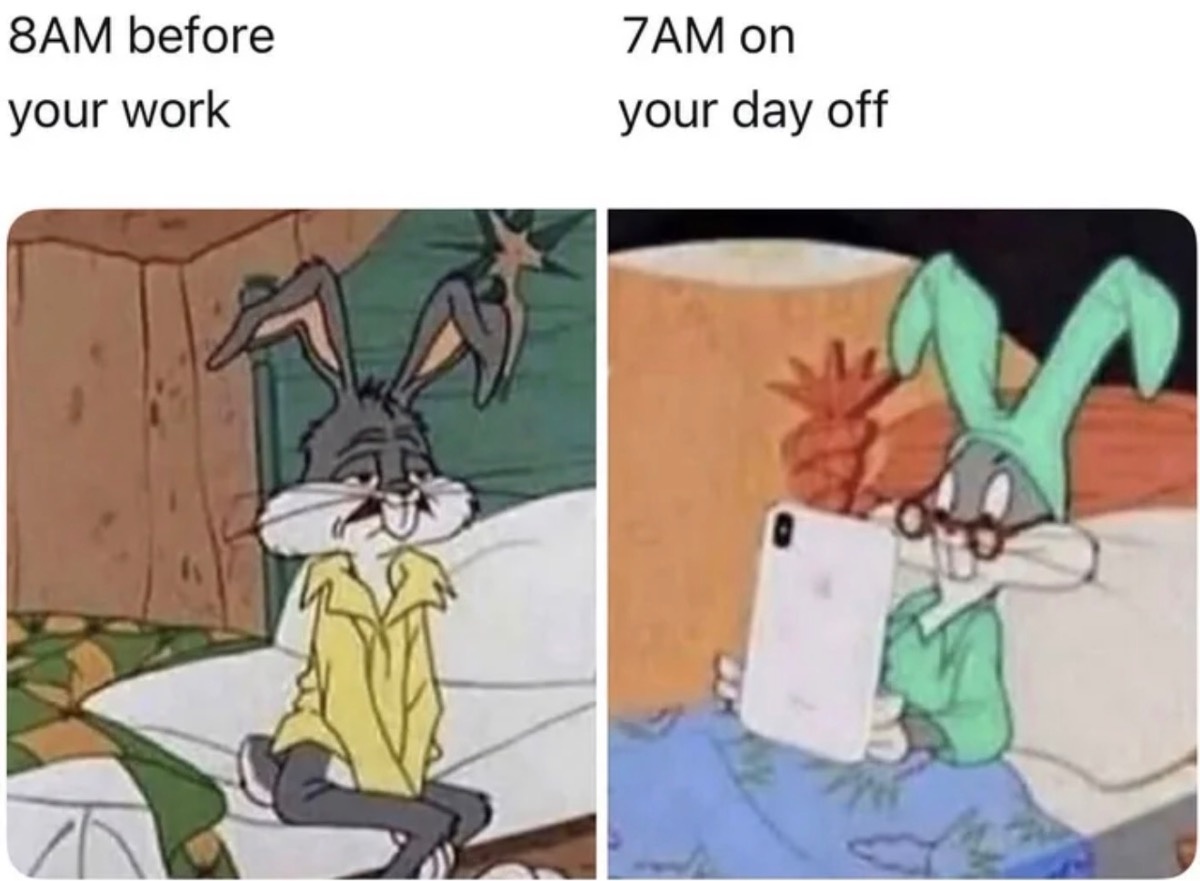 b6bfedb8-4c26-4582-a659-0efc6acb4699