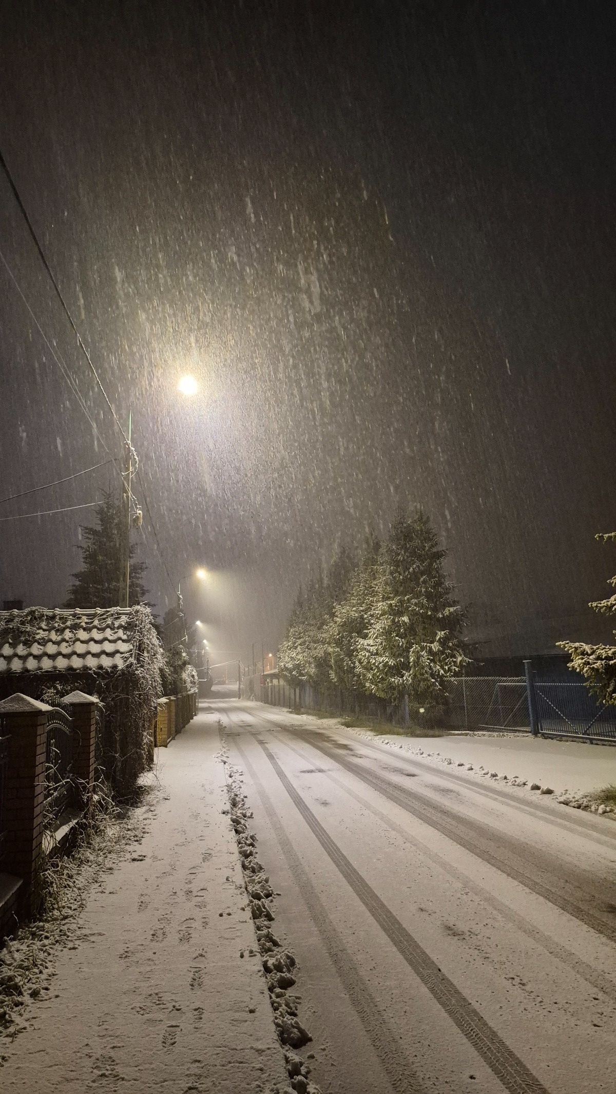 fe6f754a-8fe5-4ca4-9271-ab15436c7f6f