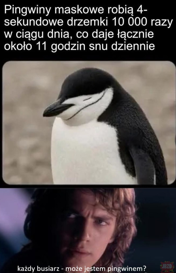 02e41d51-dbd7-4dfc-9c29-6094affaccae