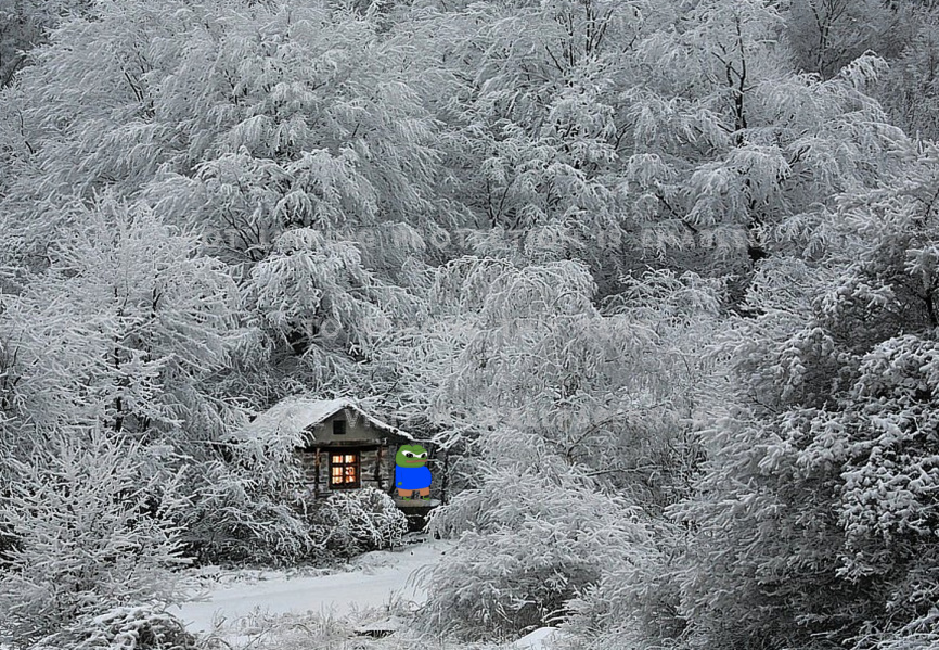 cbef0ae4-44bf-4af4-b937-dc7d95df0d9c