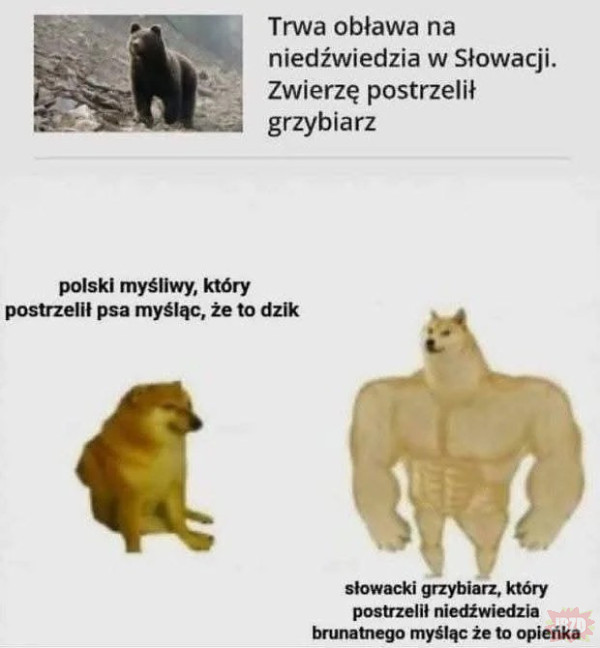 74d3b43e-d286-42d6-8f1f-e7b2d56d5446