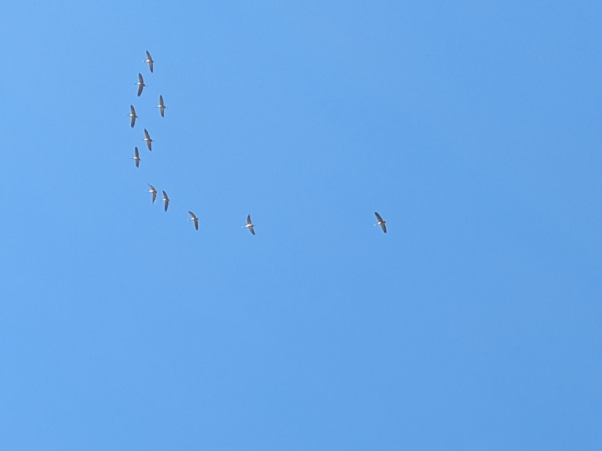 860bc33d-a970-411a-b6d6-7bbb63d8f470