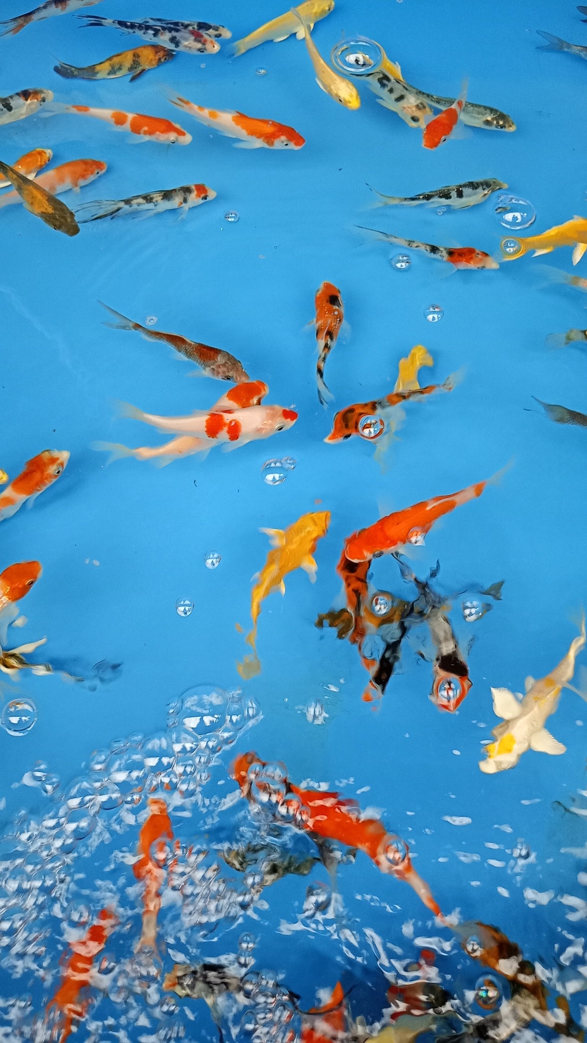 1fde1a0a-4b23-4035-996d-db9764a698b4