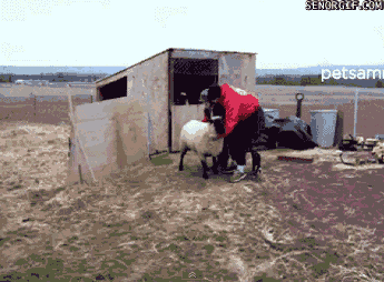 49f8e7ec-97f7-40a2-bbf0-f57a851a08fe