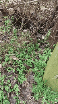 312fd745-c0c2-4341-8f55-28ab2c46455b