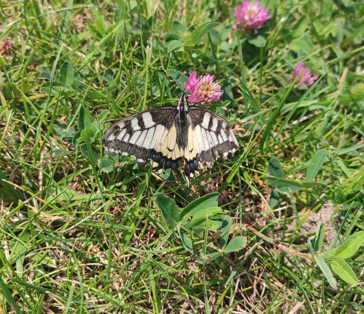 7017fa8b-2efa-4e48-9c84-b4e6dd14b223