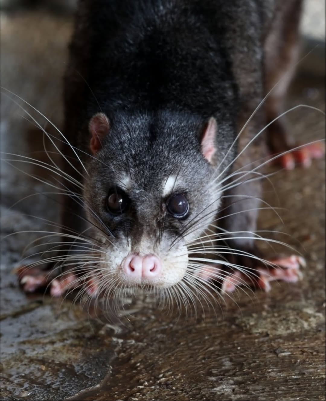 79aaa643-6047-45e7-a5e4-46cd4bc063ab