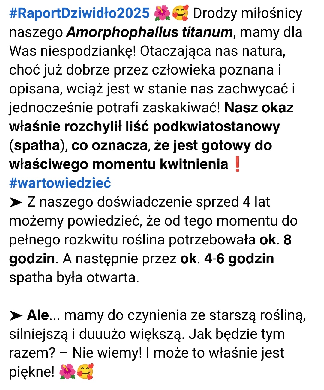 11097485-ce40-4573-be2a-cd3196ee6004