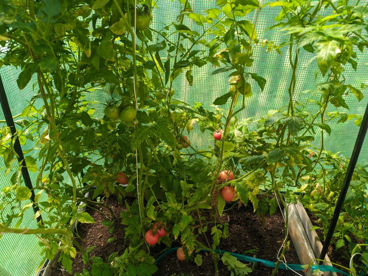 b77a47dd-3e99-4f47-8a8d-3227d70975e2