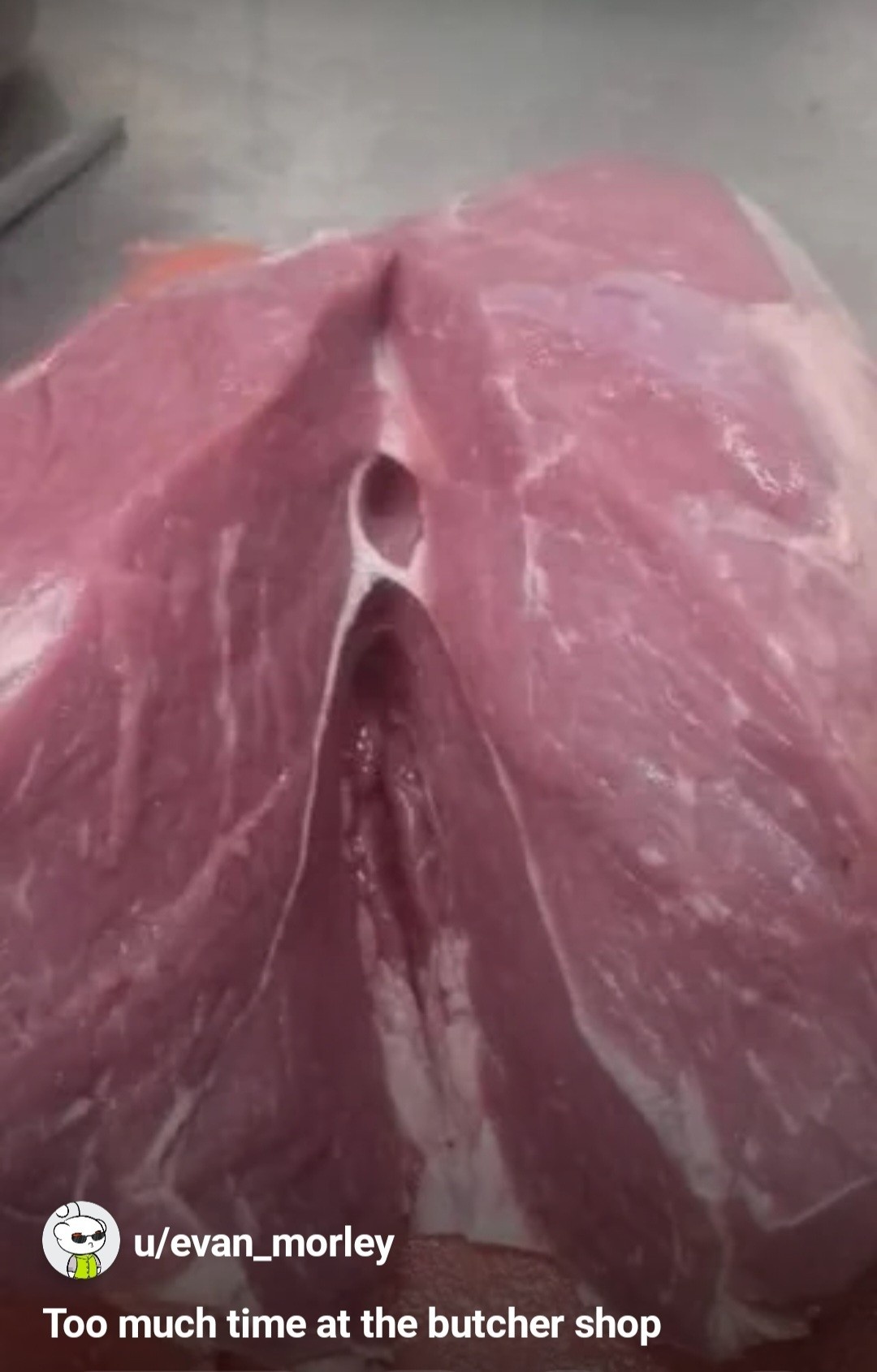 d68244b3-8644-4cb9-a565-d320b8fa4130