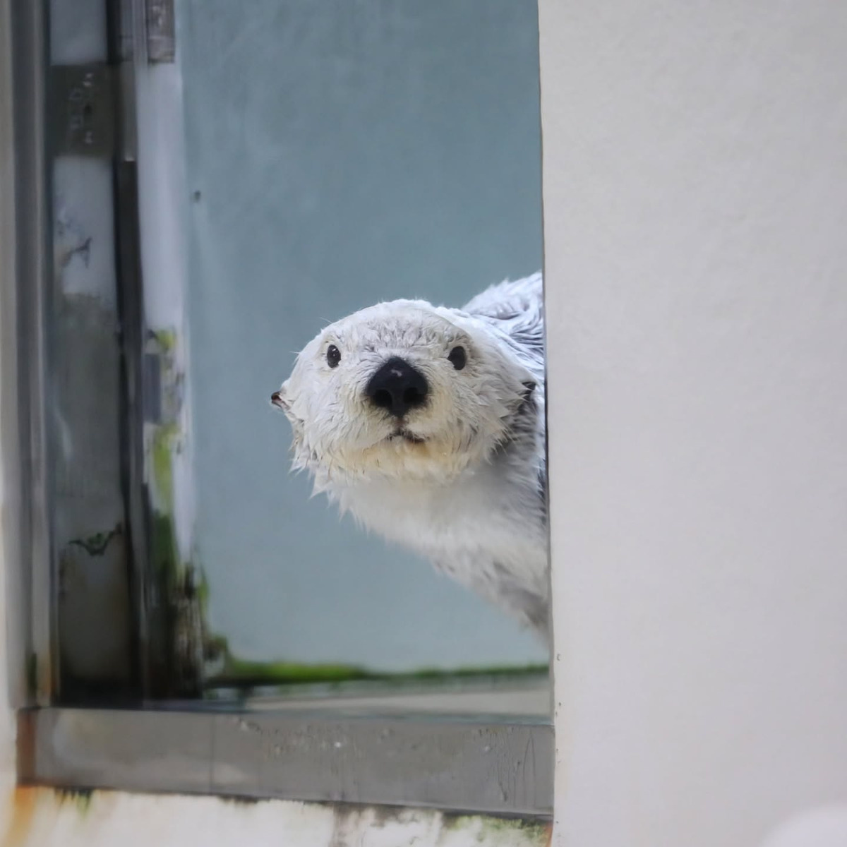 76e8e59c-8175-4eae-99a4-55ede3fb3e16