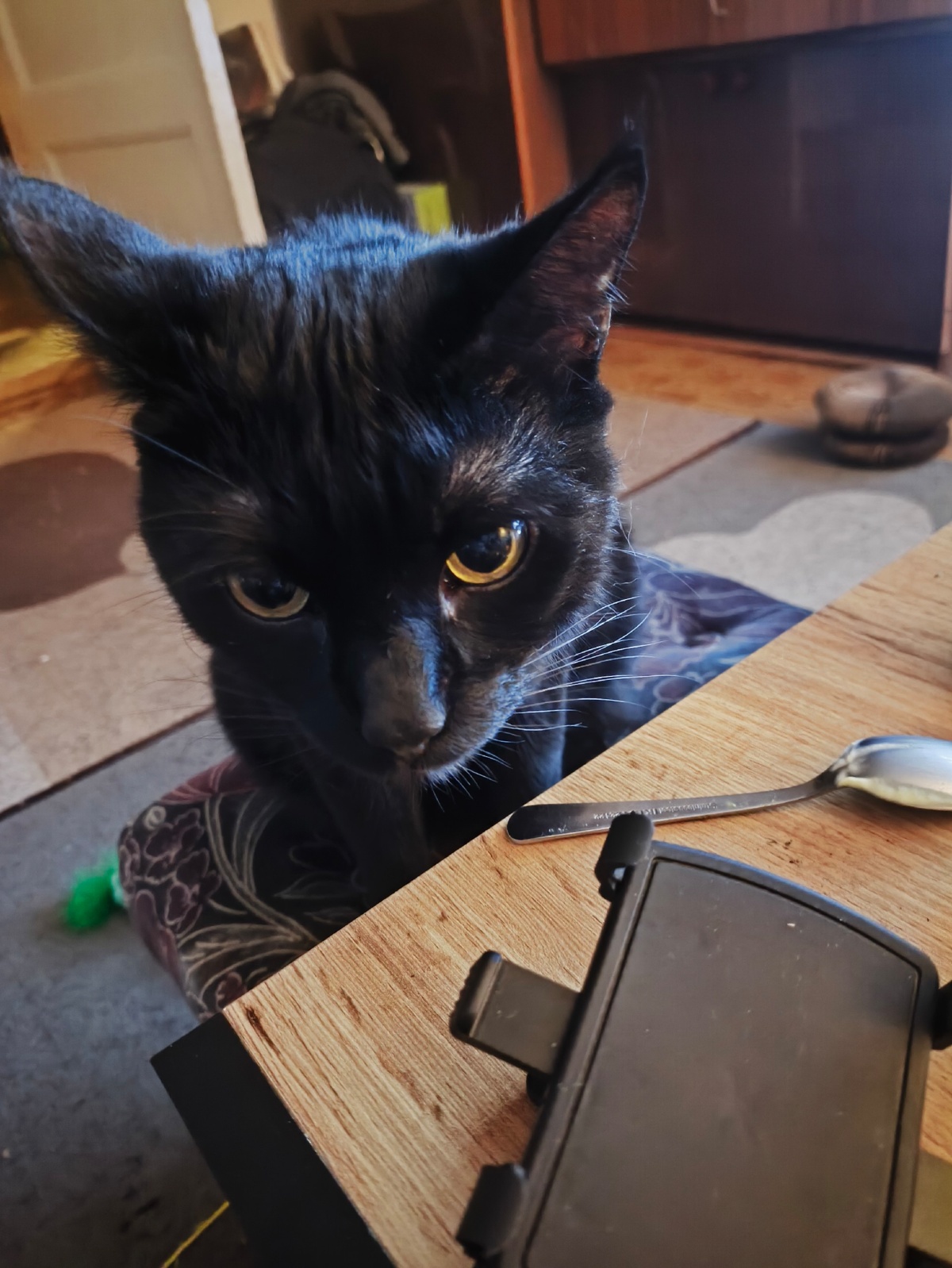 fa808a85-2477-435b-8f5c-baa01ee92d6a