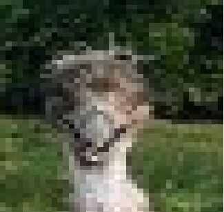 2bfa2cce-0246-42c0-98ca-189fc5fe476e