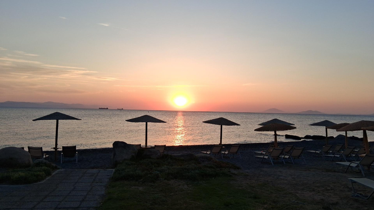 649a14d9-4be8-456e-8227-b3fd7bc7a855