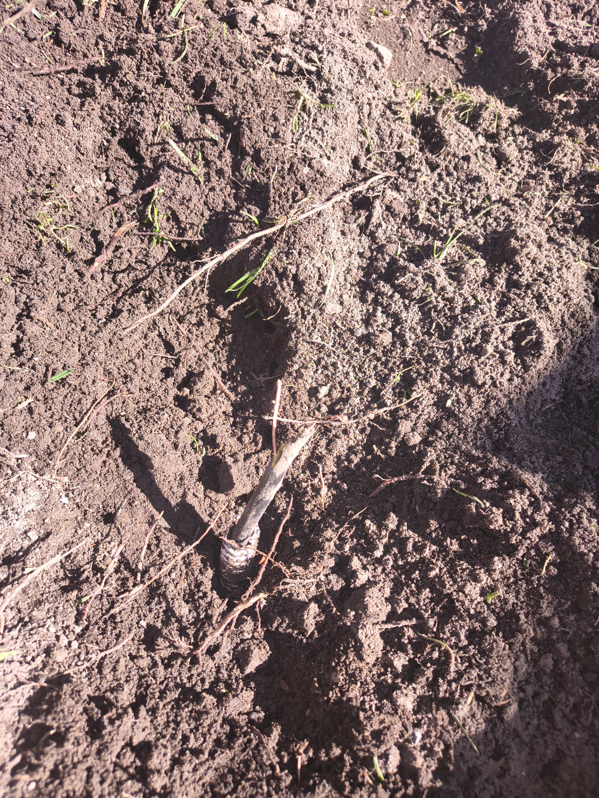 24fe7025-a70c-4e05-b7c6-91ac7efe650d