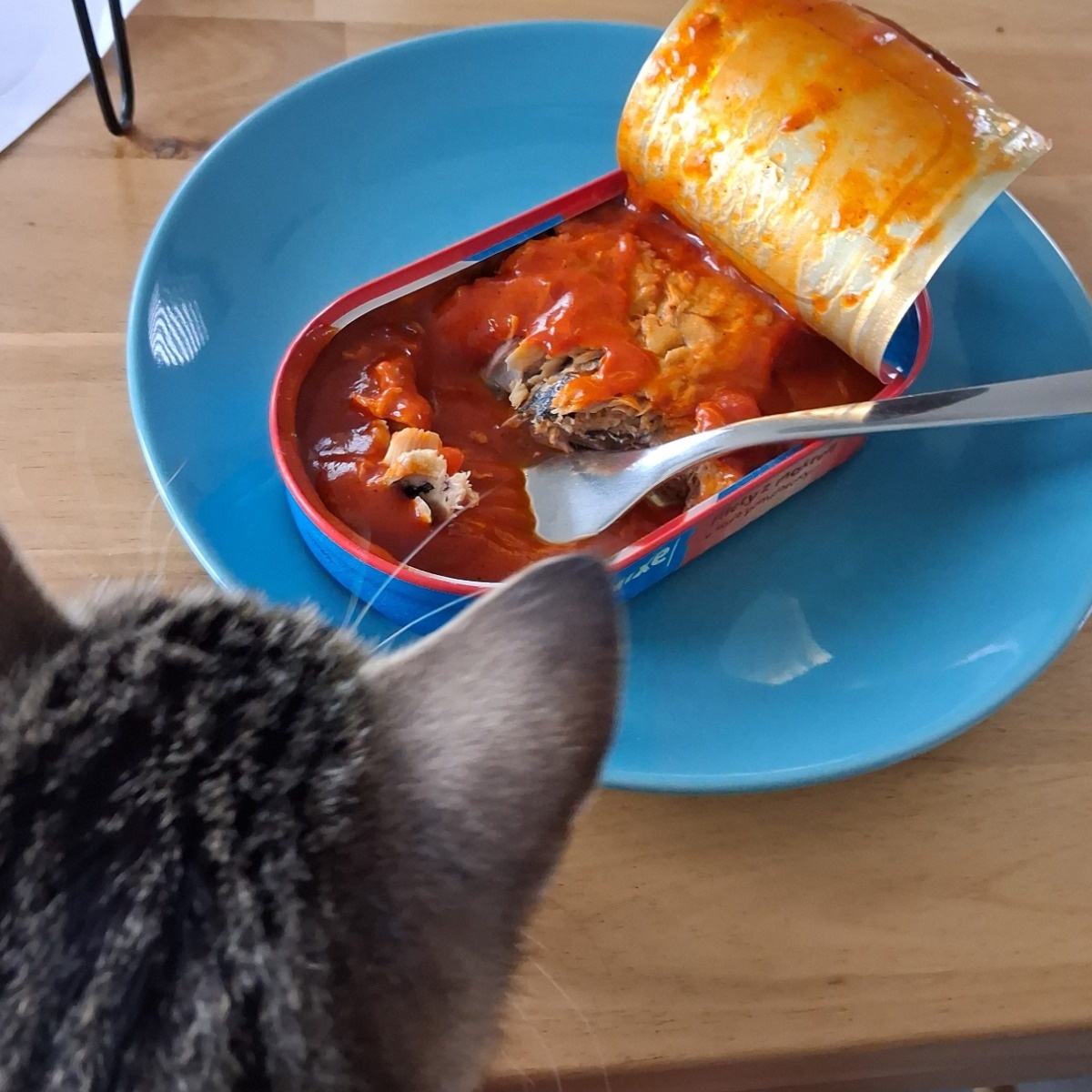 17348e0c-c9d1-4db3-8442-9086054ce232