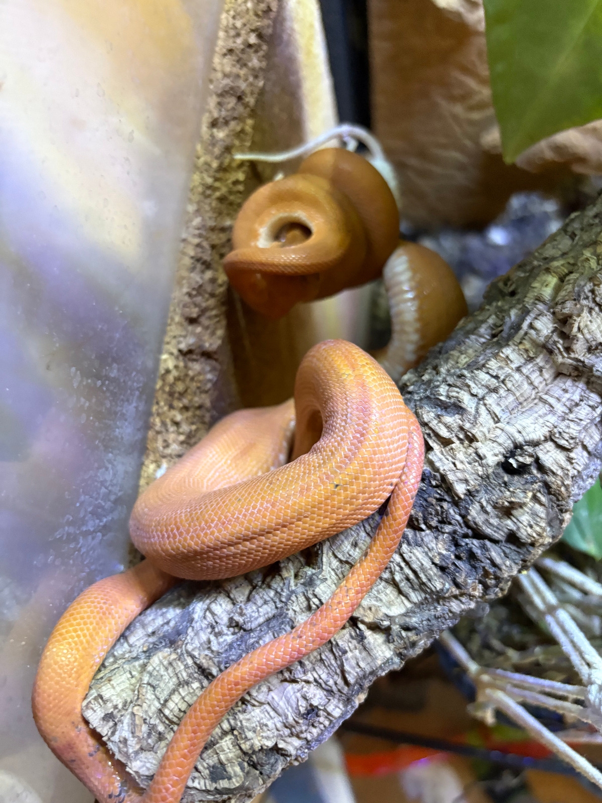 df1cd7c3-f3ad-4fde-8ff1-3a1938417008