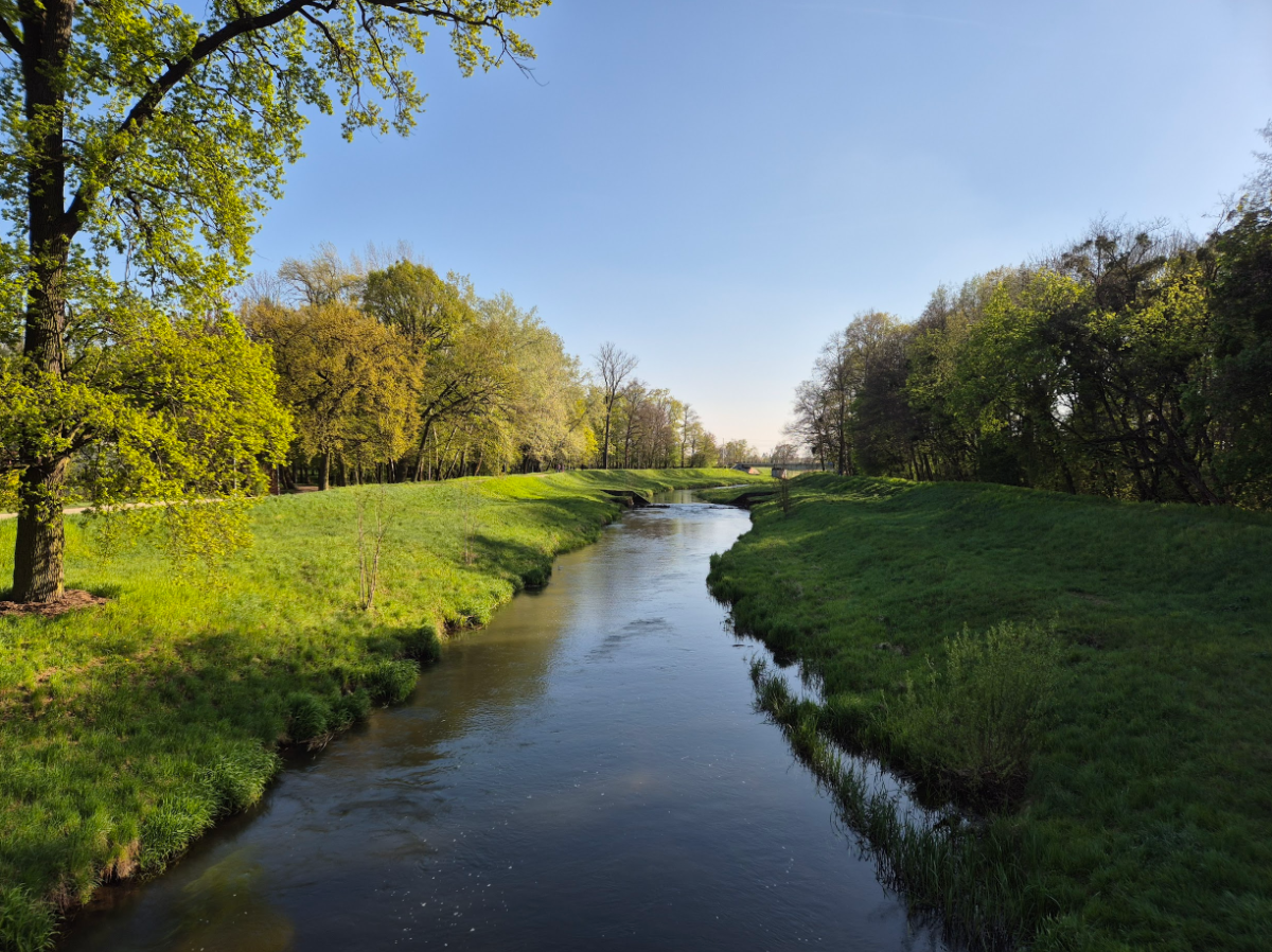 22363c58-6663-4b5e-bd03-9c18769b9224