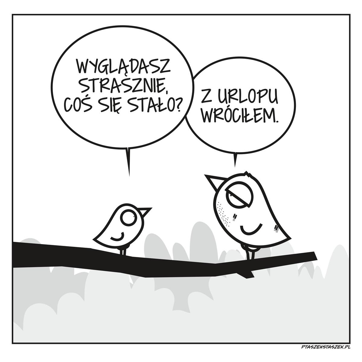 8f184e53-19fe-4e53-9f0a-0a7814ca8bcc