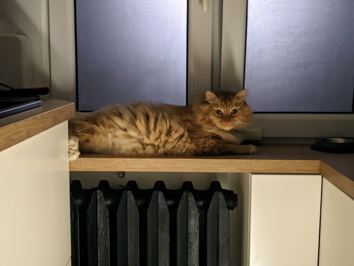 1f453331-1a1b-409f-b830-5b7c109cca6c