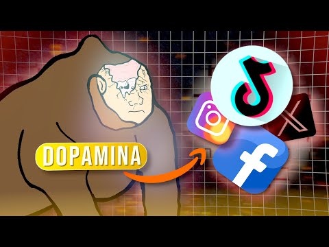 Pętla dopaminowa wyjaśniona na małpach