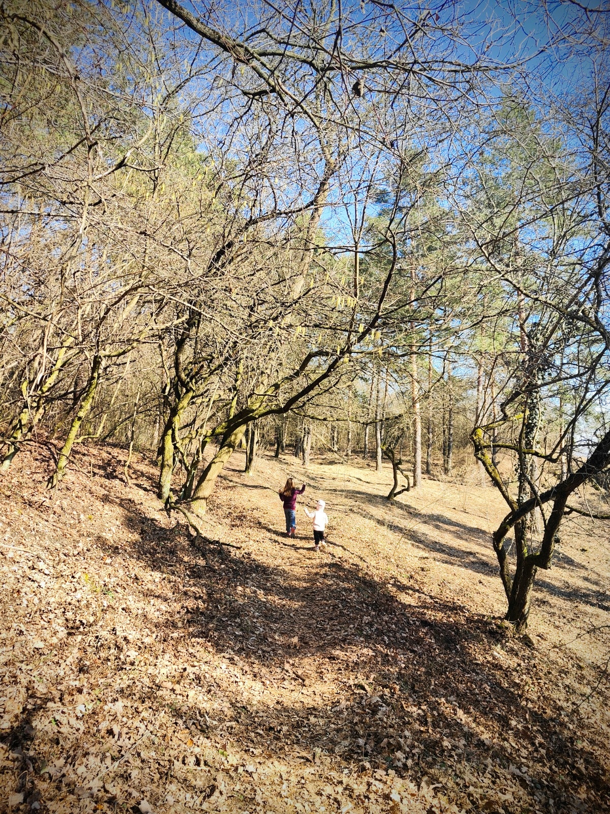 98ea08e1-1922-4c98-8ad0-c65ede588380