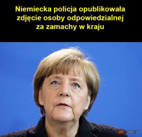 ecf18408-0f3f-4745-8ba8-0a35274d8dd0