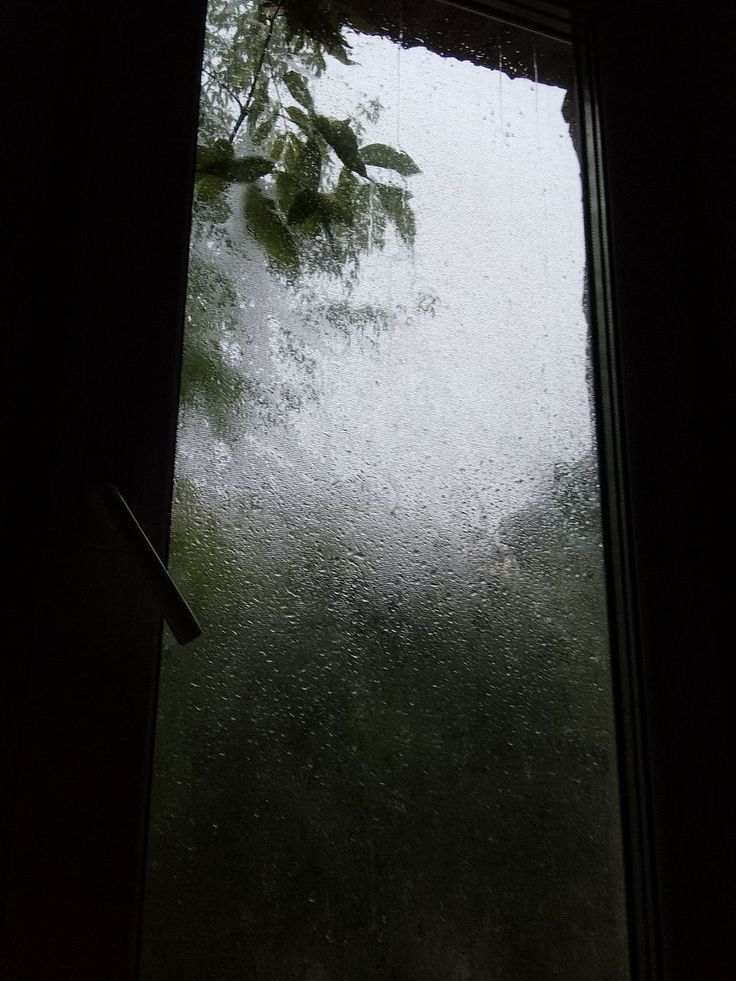 7373a696-8cbd-4903-9979-401c97fd1665