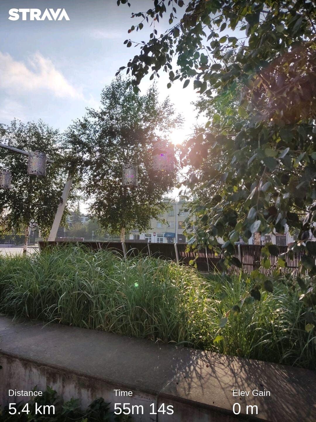 5abfdf98-10b8-4a2d-990d-2dbacbb70f23