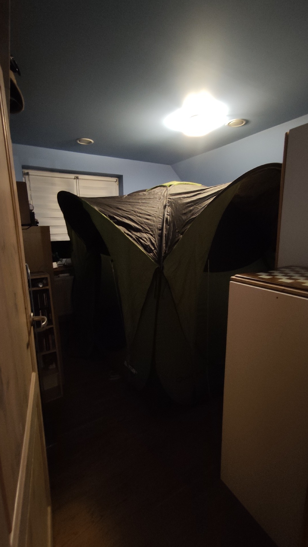 6e9be119-bd60-40aa-9da7-a39e50c0f284