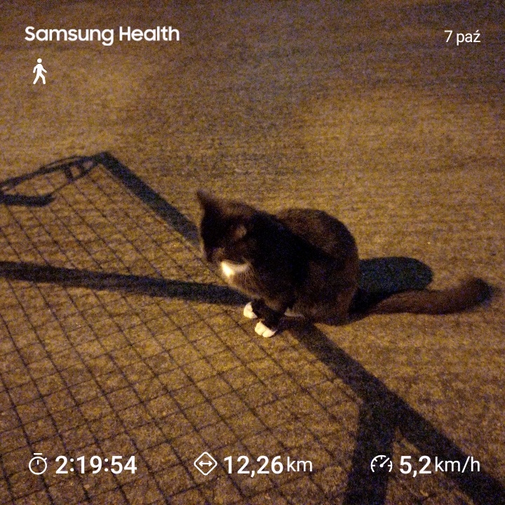 38faf2c6-dafb-4f2a-81df-9ec3b39f64e0